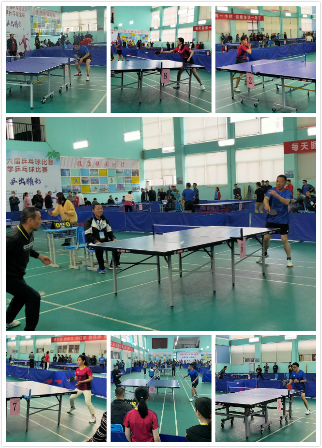 投资者应树 投资者应树